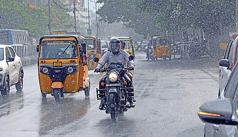 | படம்: ம.பிரபு |