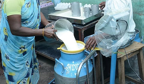 பால் கொள்முதலை அதிகரிக்க உரிய நடவடிக்கை: அலுவலர்களுக்கு முதல்வர் விஜய் அறிவுறுத்தல்