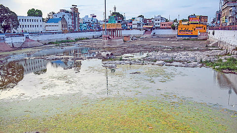 பாசி படர்ந்து அசுத்தமாக காட்சியளிக்கும் திருச்சி மலைக்கோட்டை தெப்பக்குளம்.