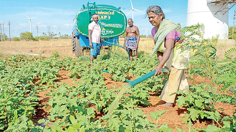 மானூர் பள்ளமடை பகுதியில் பயிரிட்டுள்ள கத்தரி, வெண்டை உள்ளிட்ட காய்கறி தோட்டங்களுக்கு டேங்கர் லாரிகளில் தண்ணீர் கொண்டுவந்து பாய்ச்சும் பணியில் விவசாயிகள் ஈடுபட்டுள்ளனர்.