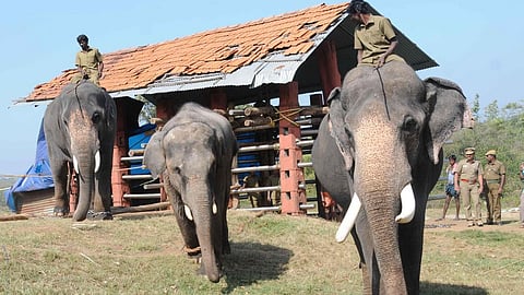 கோப்புப் படம்