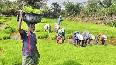 PM Kisan: விவசாயிகளுக்கு ஆண்டுக்கு ரூ.6,000 வழங்கும் திட்டம் மேலும் 5 ஆண்டுகளுக்கு நீட்டிப்பு