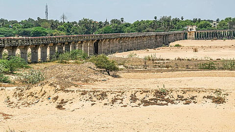 நாமாக நீட்டிக்கும் காவிரிப் படுகையின் கோடை