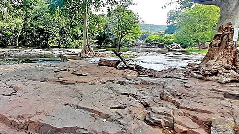 ஒகேனக்கல்