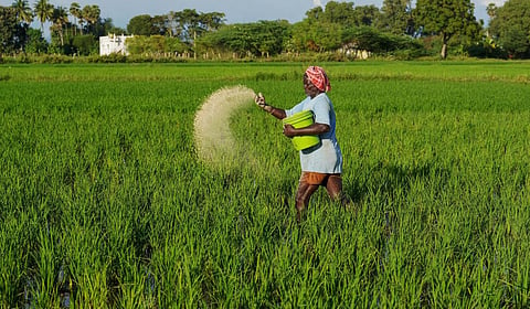 விவசாயிகள் உதவித்தொகை: கடன் தள்ளுபடிக்குச் சிறந்த மாற்று