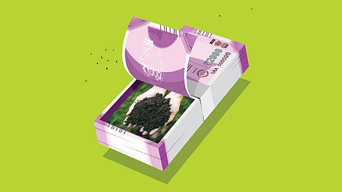 விவசாயிகளுக்கு காசு தரும் கார்பன் கிரெடிட்