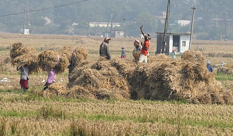 கோப்புப் படம்&nbsp;