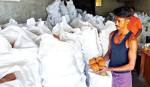 சேலம் லீ பஜார் பகுதியில் விற்பனைக்காக குவித்து வைக்கப்பட்டுள்ள வெல்ல மூட்டைகள். 	    படம்: எஸ்.குரு பிரசாத்