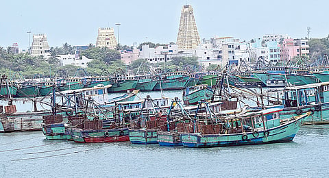 ராமேசுவரம் மீன்பிடி இறங்குதளத்தில் நிறுத்தப்பட்டுள்ள விசைப்படகுகள். படம்: எல்.பாலச்சந்தர்