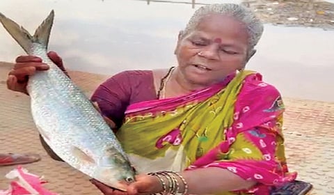 ரூ.24 ஆயிரத்துக்கு விலை போன மீன்.