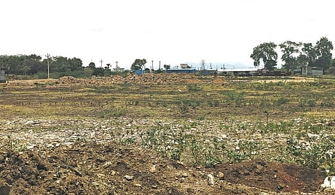 விருதுநகரில் டைடல் பூங்கா கட்ட அடிக்கல் நாட்டப்பட்ட இடம்.