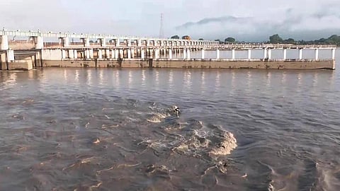 பிஹார் ஆற்றில் தென்படும் ‘நேபாள மீன்கள்’ - அரசு எச்சரிக்கை