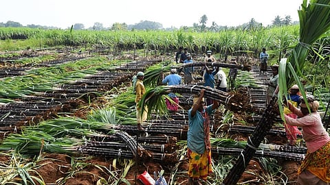 படாளம் கூட்டுறவு சர்க்கரை ஆலையை மூட திட்டமா? - அன்புமணி கண்டனம்