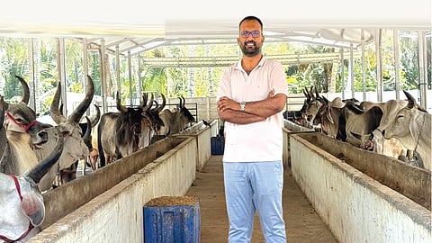 பண்ணையில் தனது பசுக்களுடன் தினேஷ்.