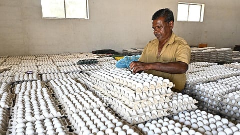 நாமக்கல் மண்டலத்தில் முட்டை விலை ரூ.5.35 ஆக உயர்வு