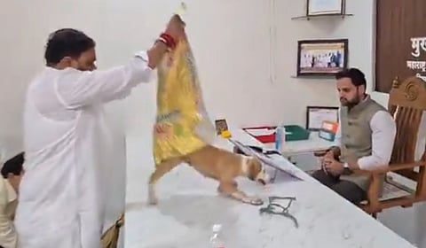 தெரு நாய்​களை கட்டுப்படுத்த சிவசேனா நூதன போராட்டம்