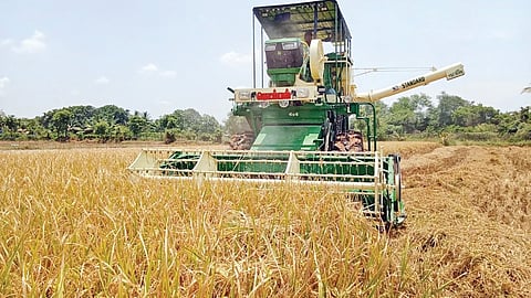 விவசாயிகளை அலைக்கழிக்கும் நுகர்பொருள் வாணிபக் கழகம்