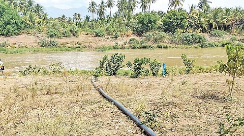 முல்லை பெரியாற்றில் நீர் திருட்டால் பாசன உரிமை பெற்ற விளை நிலங்கள் பாதிப்பு