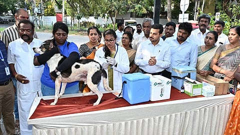 கோப்புப் படம்