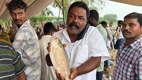 ரூ. 27 ஆயிரத்துக்கு விலை போன புலசா மீன்.