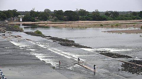 காவிரி நீர் பாயும் முக்கொம்பு பகுதி