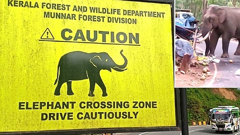 யானைகளின் வழித்தடங்களை மீட்க இடுக்கி ஆட்சியர் உத்தரவு