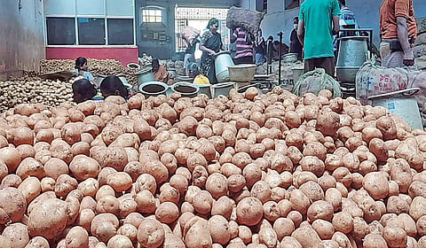 ஊட்டி உருளைக்கிழங்கு வரத்து குறைவால் ஏற்றுமதி பாதிப்பு