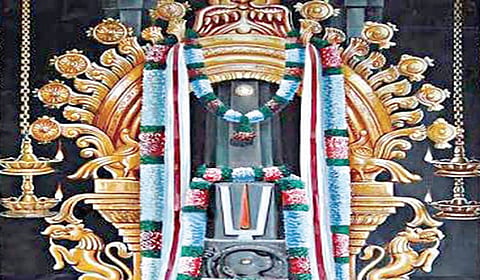 விவசாயம் செழிக்க அருளும் கல்லங்குறிச்சி கலியுக வரதராஜ பெருமாள் | பரிகார ஸ்தலங்கள்
