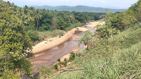 தேனி மாவட்ட மூல வைகையில் நீர்வரத்து தொடங்கியது - புத்துயிர் பெற்ற பல்லுயிர் சூழல்
