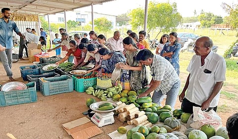 பள்ளிக்கரணையில் இயற்கை விவசாயிகள் சந்தை