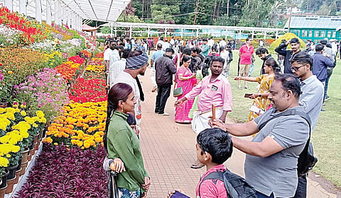 ஊட்டி தாவரவியல் பூங்காவில் காட்சிப்படுத்தப்பட்டுள்ள பல்லாயிரக்கணக்கான வண்ண மலர்களை சுற்றுலா பயணிகள் நேற்று கண்டு ரசித்தனர். படம்: ஆர்.டி.சிவசங்கர்