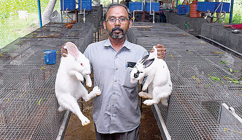 சேலம் அழகாபுரம் அருகேயுள்ள தனது முயல் பண்ணையில் வெங்கடேஷ். படம்: எஸ்.குரு பிரசாத்