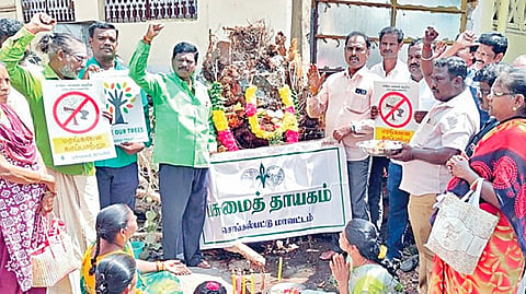 மழை, புயல் போன்ற எந்த இயற்கை காரணமும் இல்லாமல் குரோம்பேட்டையில் 60 ஆண்டு அரசமரம் சாய்ந்தது