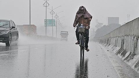 கோவை, நீலகிரியில் கனமழையும், 20 மாவட்டங்களில் மிதமான மழையும் பெய்ய வாய்ப்பு