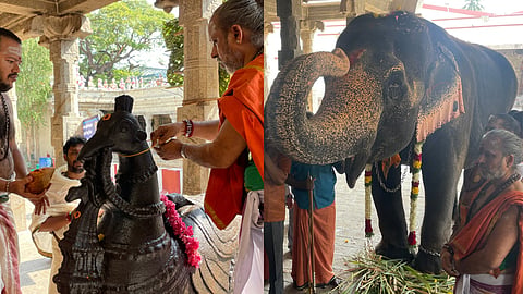 பழநியில் நவராத்திரி விழா காப்பு கட்டுதலுடன் தொடக்கம்: அக்.20-ல் அம்பு போடும் நிகழ்ச்சி