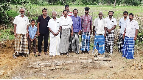 கல்மரங்கள்: காலம் கொடையளித்த புவியியல் விந்தை