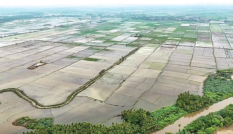 கடந்த சில நாட்களாக பெய்து வரும் கனமழை காரணமாக திருச்சி மாவட்டம் எளமனூர், கொடியாலம் பகுதியில் நீரில் மூழ்கியுள்ள விளைநிலங்கள்.