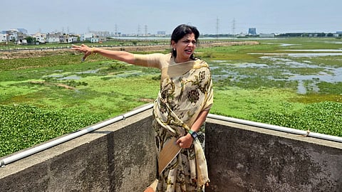 பள்ளிக்கரணை ராம்சார் சதுப்பு நிலத்தை அறிவியல்பூர்வமாக தீர்மானிக்க கோரி சவுமியா மனு