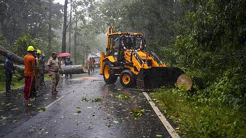 புயல் காரணமாக சாலையில் விழுந்த மரத்தை அகற்றும் அதிகாரிகள். |&nbsp;இடம்: கஜபதி மாவட்டம், ஒடிசா
