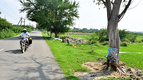 படங்கள்: மு.லெட்சுமி அருண்