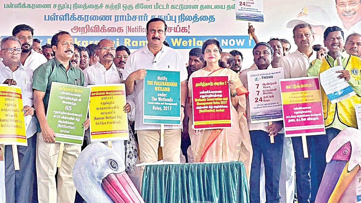 பள்ளிக்கரணை சதுப்பு நிலத்தை அறிவிக்கை செய்ய வேண்​டும்: துரைப்பாக்கத்தில் அன்புமணி, சவுமியா விழிப்புணர்வு பிரச்சாரம்