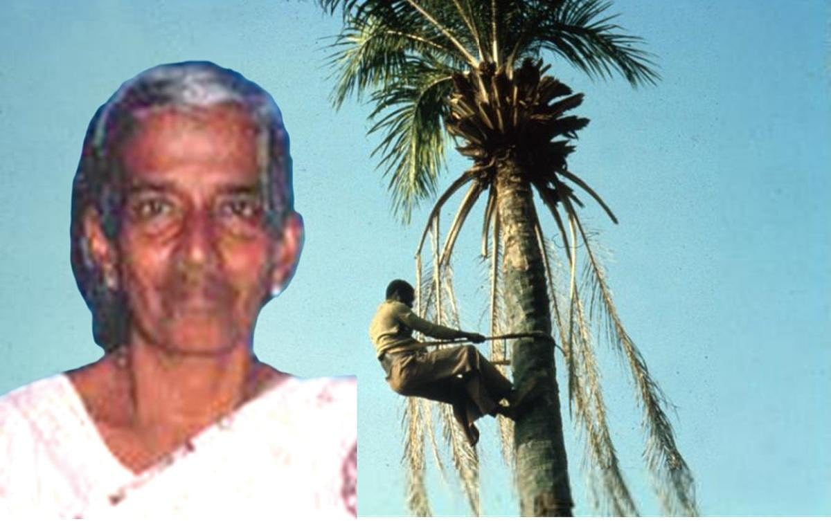 ஹெப்ஸிபா ஜேசுதாசன் 100 - தன்னியல்பான கதைசொல்லி!