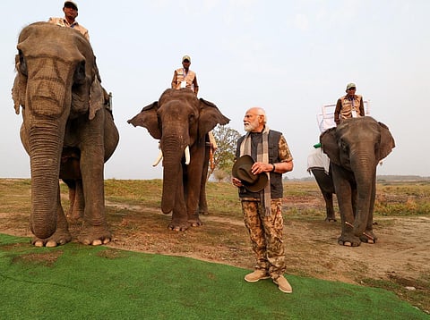 PM Modi takes a safari in Kaziranga National Park