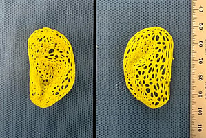 Scientists create replica of an adult human ear that looks & feels natural

