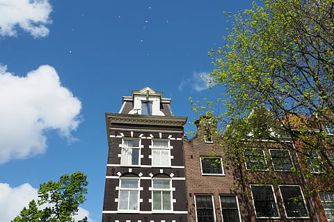 The future of facades: Top four design trends for 2024