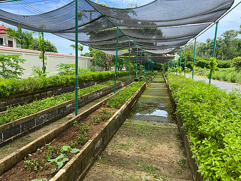 Veya farm