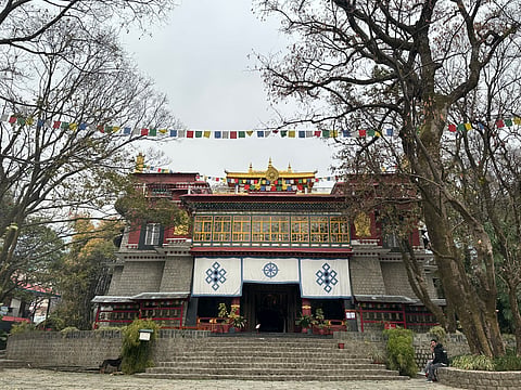 From exhibitions and museums to  pottery and tea making, here’s a guide on how to explore Dharamshala and McLeodganj through the lens of art