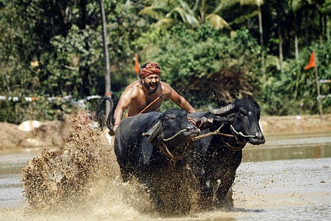 In Frame: Rishabh Shetty in a still from Kantara