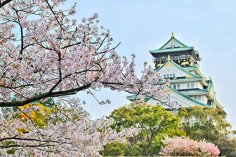 Japanese film festival to begin in Kolkata on August 23