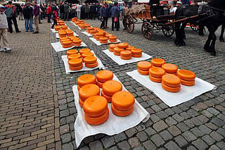 Five unique aged cheeses from around the world